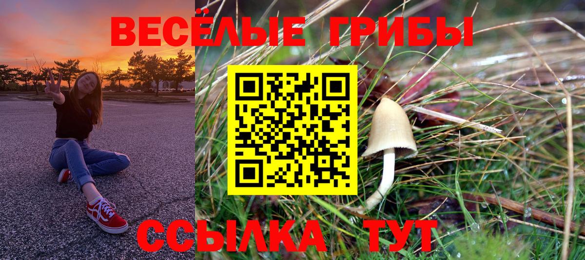 Псилоцибиновые грибы Cubensis Сухой Лог